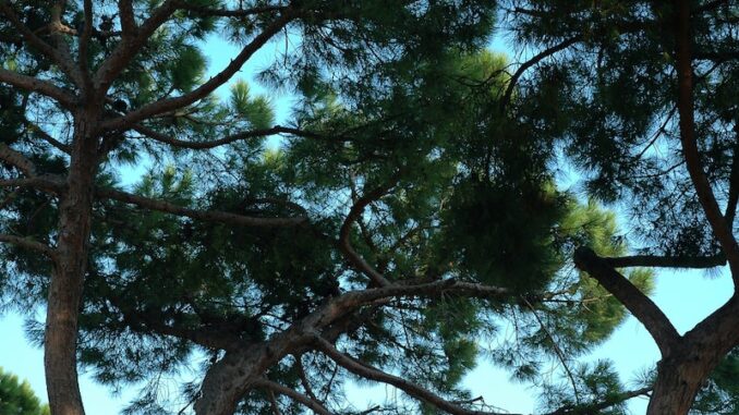 uploaded-image-organizasyon-ve-yerel-topluluklarla-isbirlikleri-1696691671390